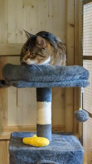 Miniature vid&eacute;o Publio par Publio